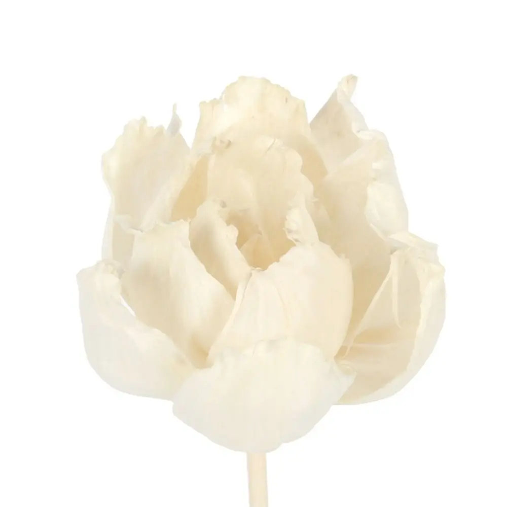 

Для ароматерапии аромат ручной работы для гостиной для дома сушеные цветы ароматические благовония Tongcao цветок диффузор палочки