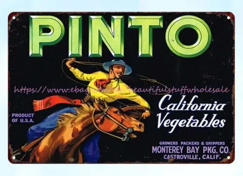 1950s Pinto Monterey Bay Castroville мексиканский ковбойский Западный лошадь металлический