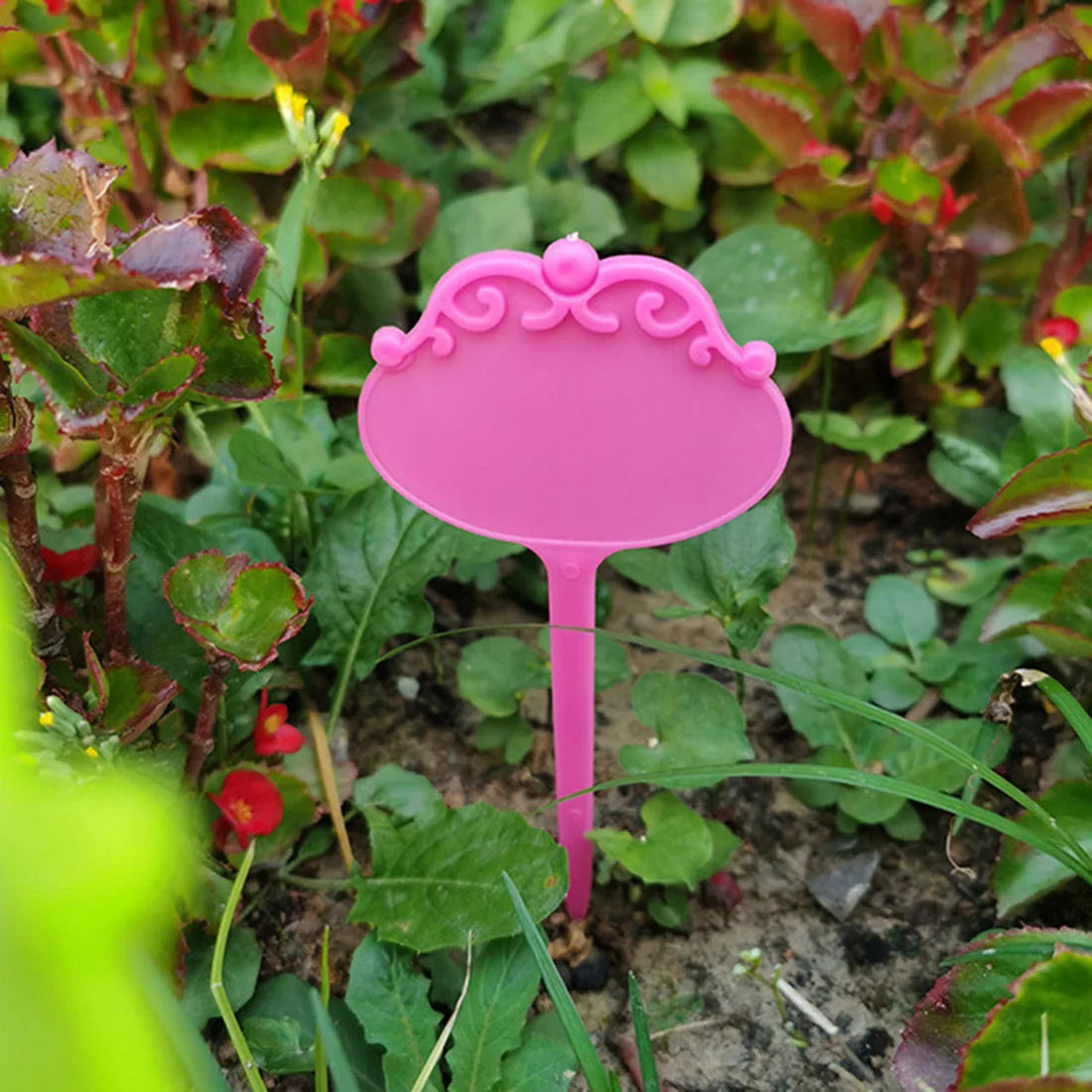 

Waterproof Garden Plant Tags PP Plastic Labels For Plants Gardening Accesorries Pot Seedling Sign Mark Planter Decor Tool