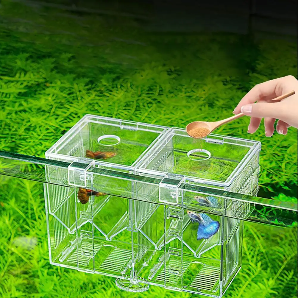 

Clear Acrylic Mini Fish Tank With Detachable Divided Compartments Beta Fish Tanks Fish Bowl For Fish Shrimp Clownfish Wholesale