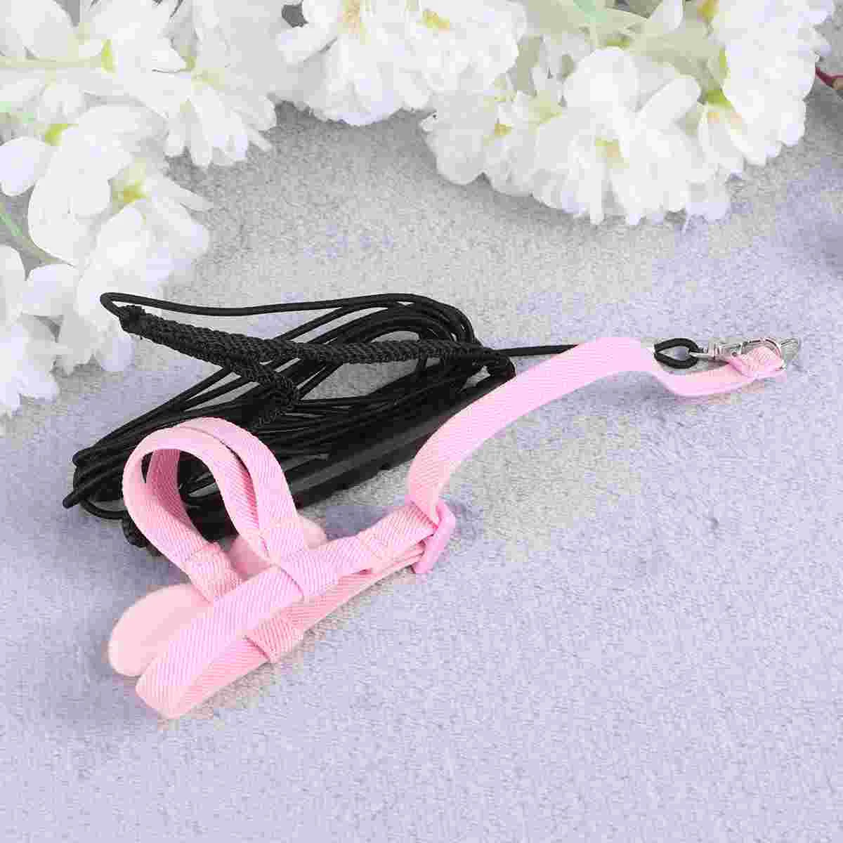 

Leash Parakeet Leash Costumes Birds Tail Cockatiel Harness Bird Leash Bird Harness Cockatiel