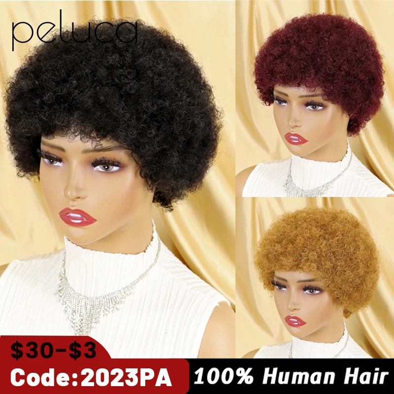 

Short Afro Kinky Curly Wigs For Women Human Hair Remy Hair Human Hair Wigs Glueless Machine Made Wig Ombre Brown Burgundy 99J