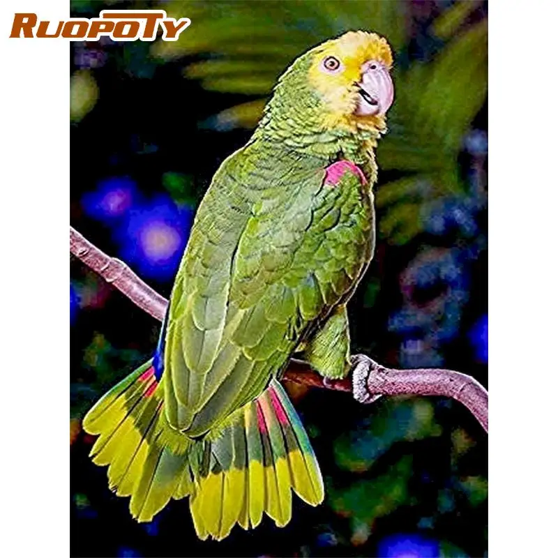 

RUOPOTY Animal Diamond Painting Parrot Full Square New Arrival Diamond Embroidery Handicraft Wall Art Decoration