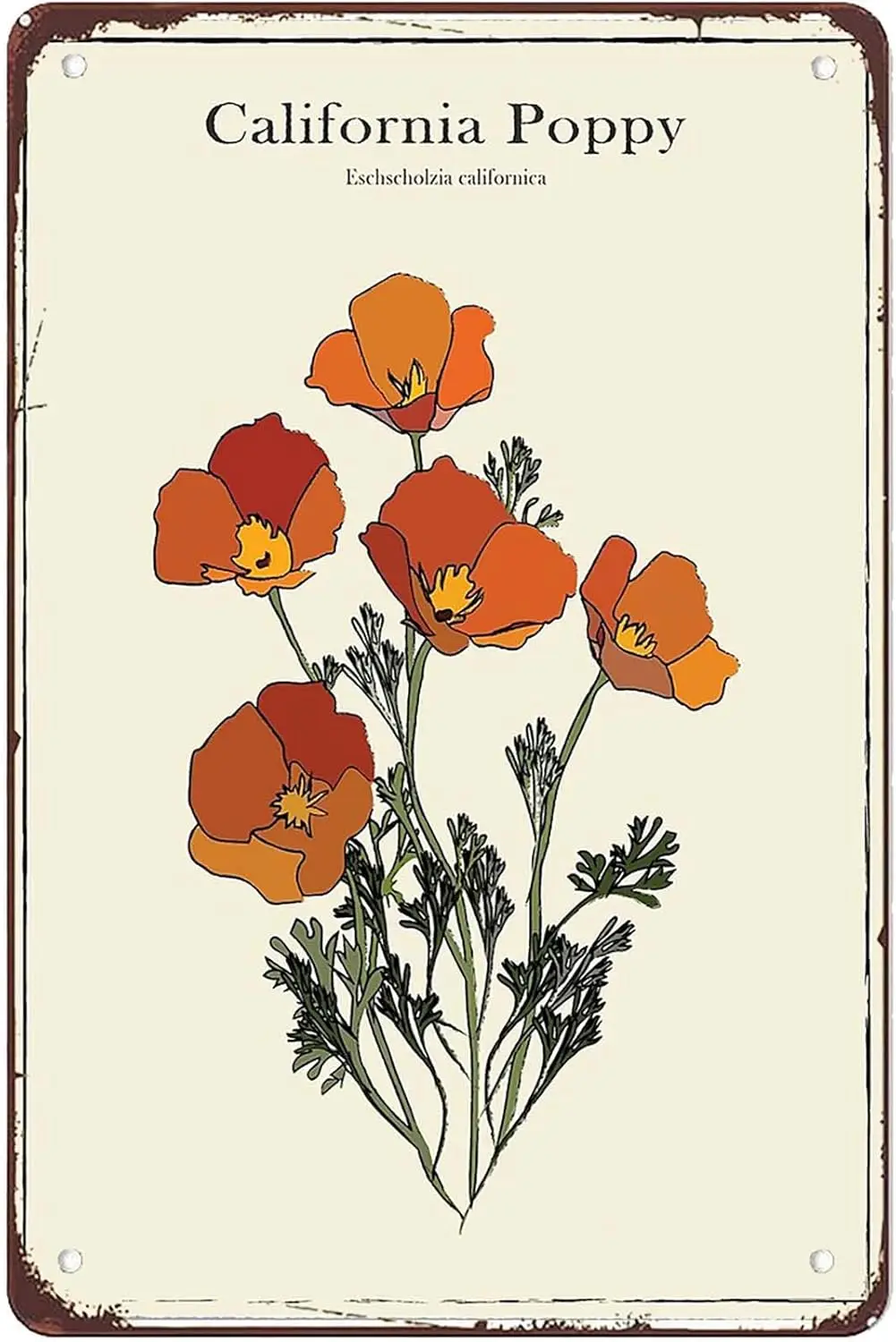 Metl Tn Sgn Wll rt-6 &quotx 8&quot Clforn Poppy Vntge Botncl Плакат- Забавный декор Br Ktchen Mn Cve Frm Home rt