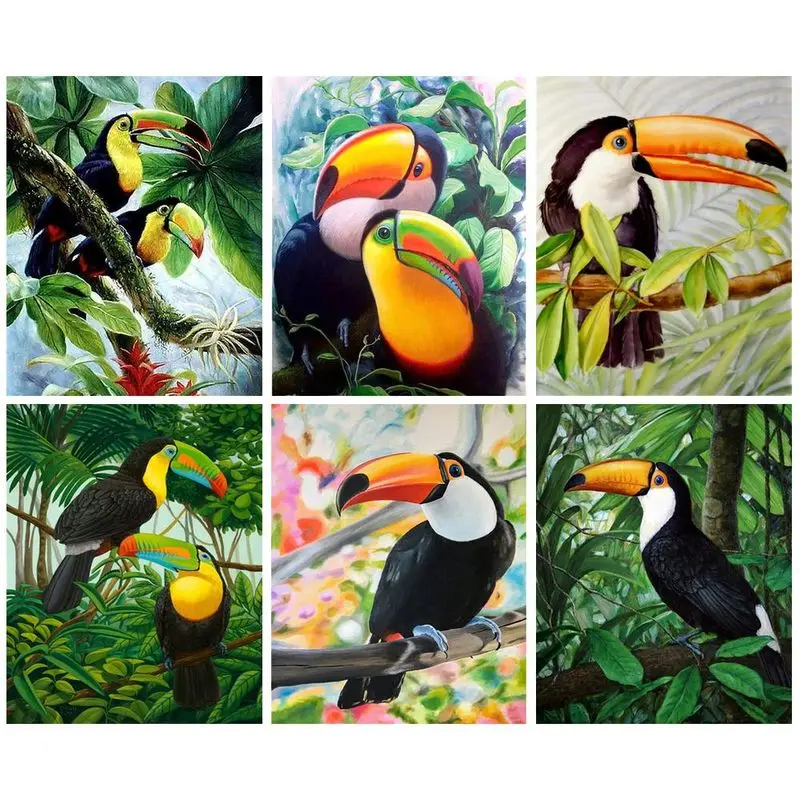 

CHENISTORY Toucan Paint By Number Drawing On Canvas Handpainted Painting Art Gift Kits Diy Pictures By Number Bird Animal Home D