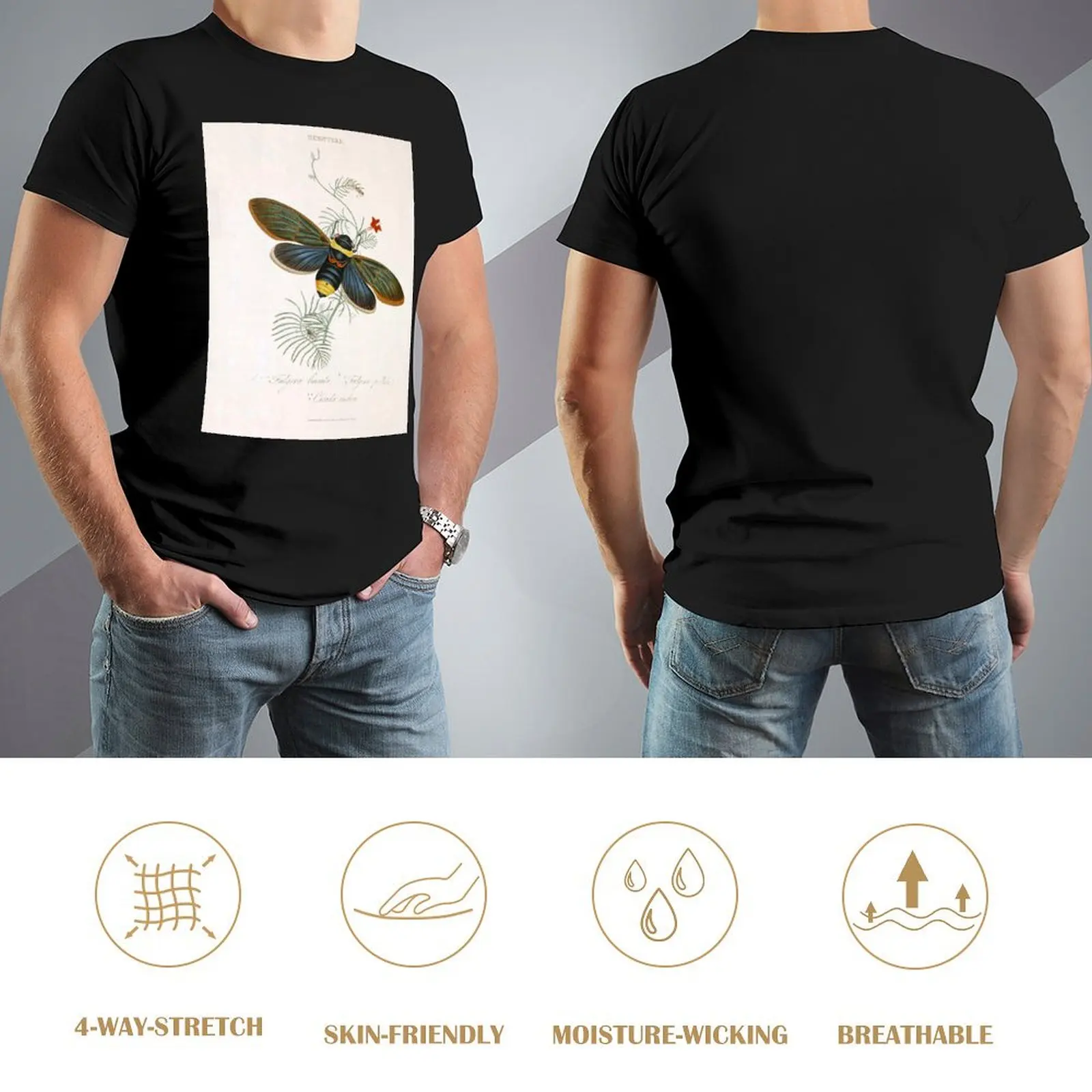 Мужская футболка Tacua Speciosa Cicada