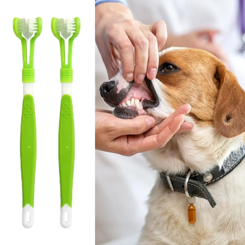 

2Pcs Pet Dog Toothbrush Bristles Dental Care Handle Hanging Hole Plastic Handheld Oral Care 3-Sided Dog Toothbrush