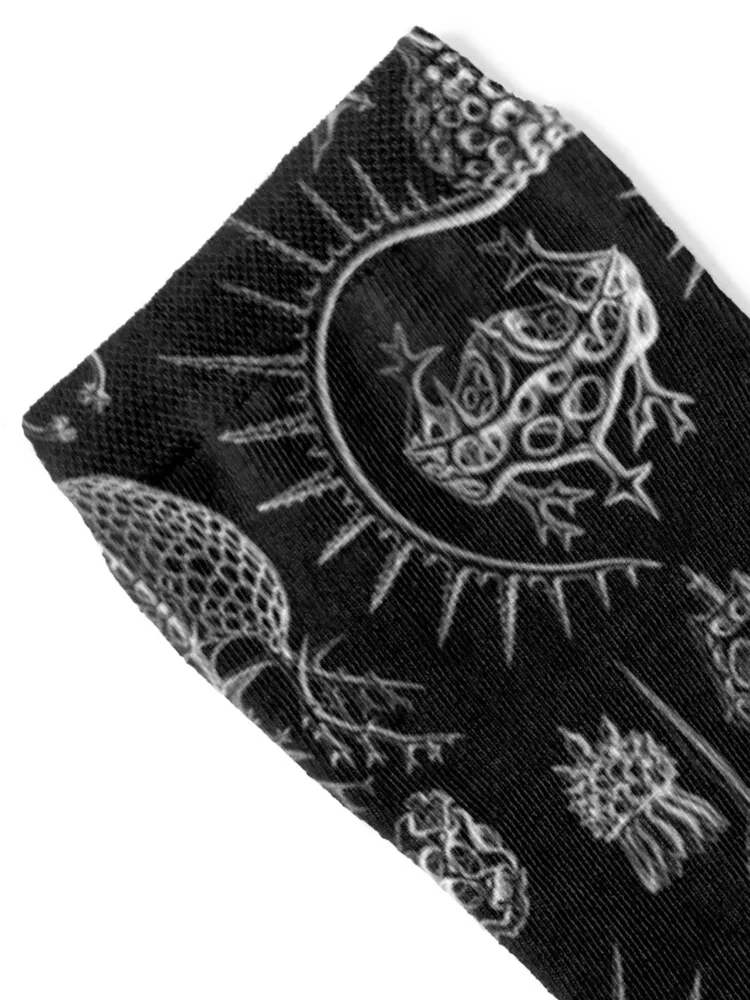 Носки ningbo Haeckel - Spyroidea с принтом походные ботинки мужские носки для гольфа