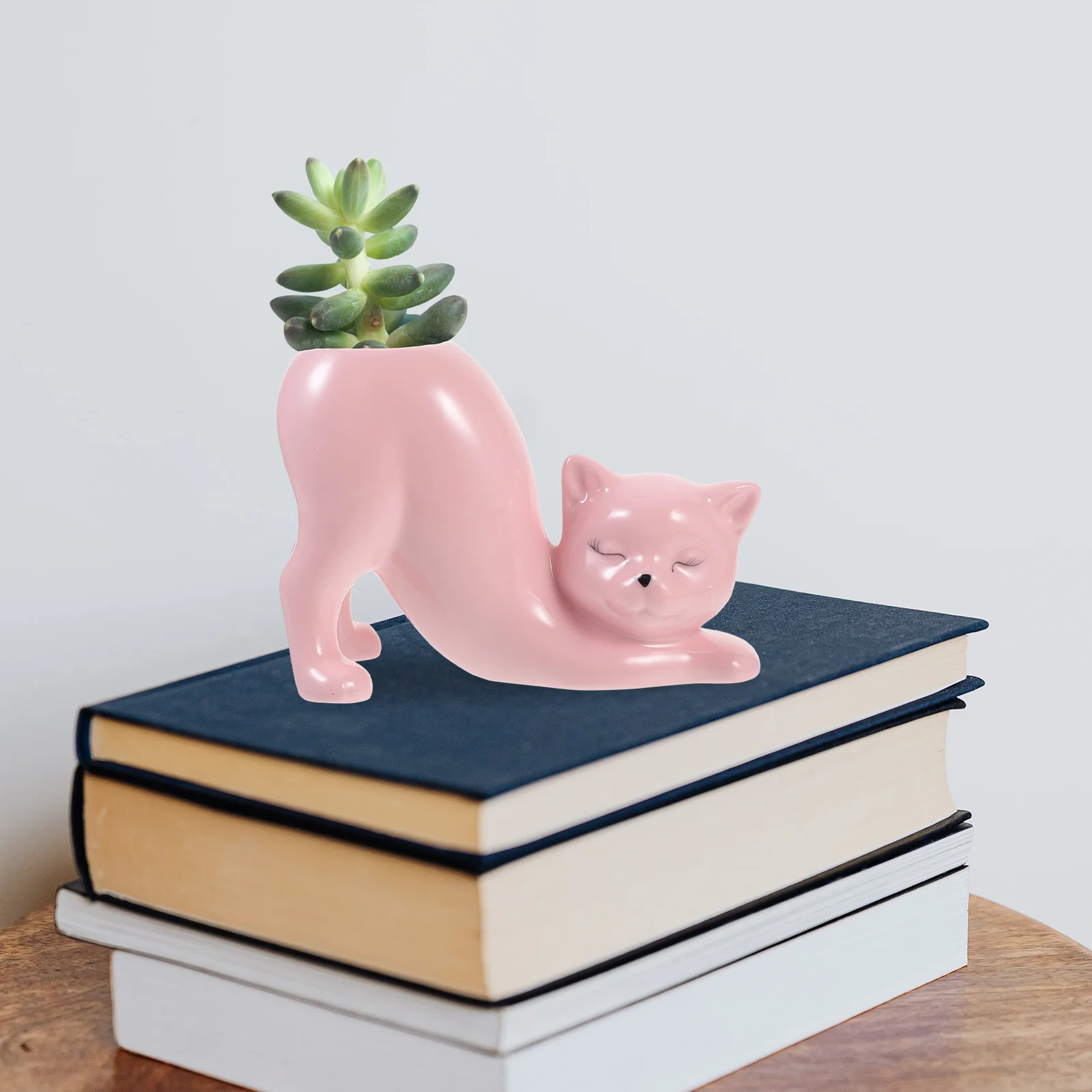 

Cat Plant Pot Pots for Plants Tail Ceramics Flowerpot Decorative Planters Indoor