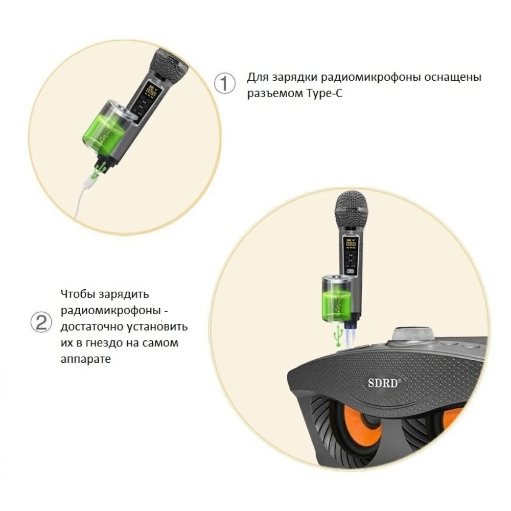 SDRD SD 306 Plus (серый) - домашняя блютус-караоке система с двумя перезаряжаемыми