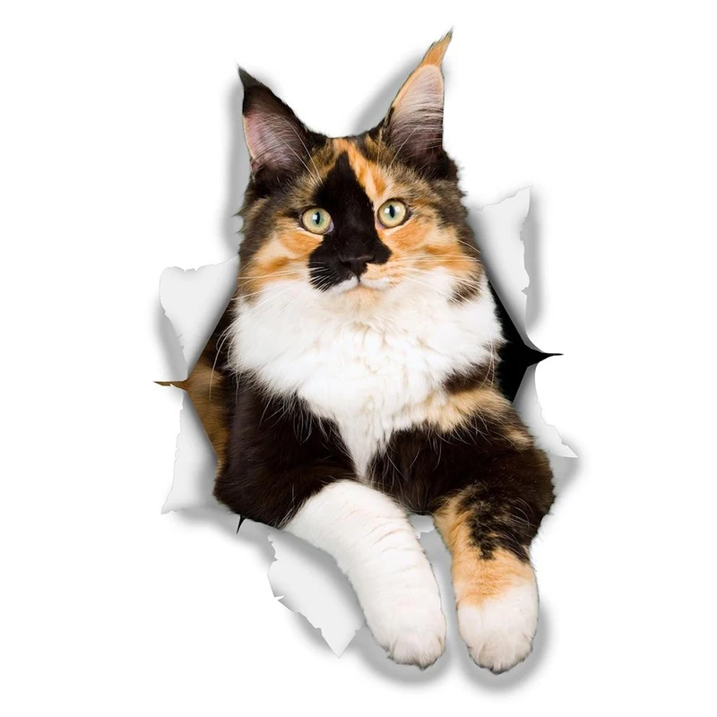 

32720 # Calico Cat 13 cm/17 cm Self-adhesive Decal Car Sticker Waterproof Auto Decors on Bumper Rear Window Laptop