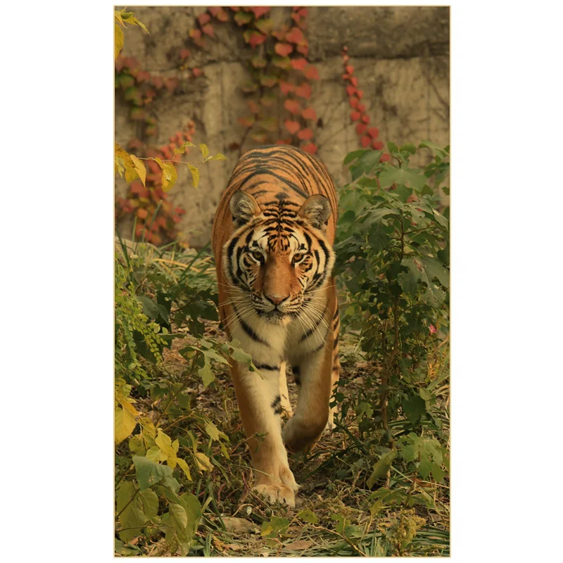 Домашний декор Ретро плакат дикого тигра новый год Тигра 2022 фэн-шуй Настенный