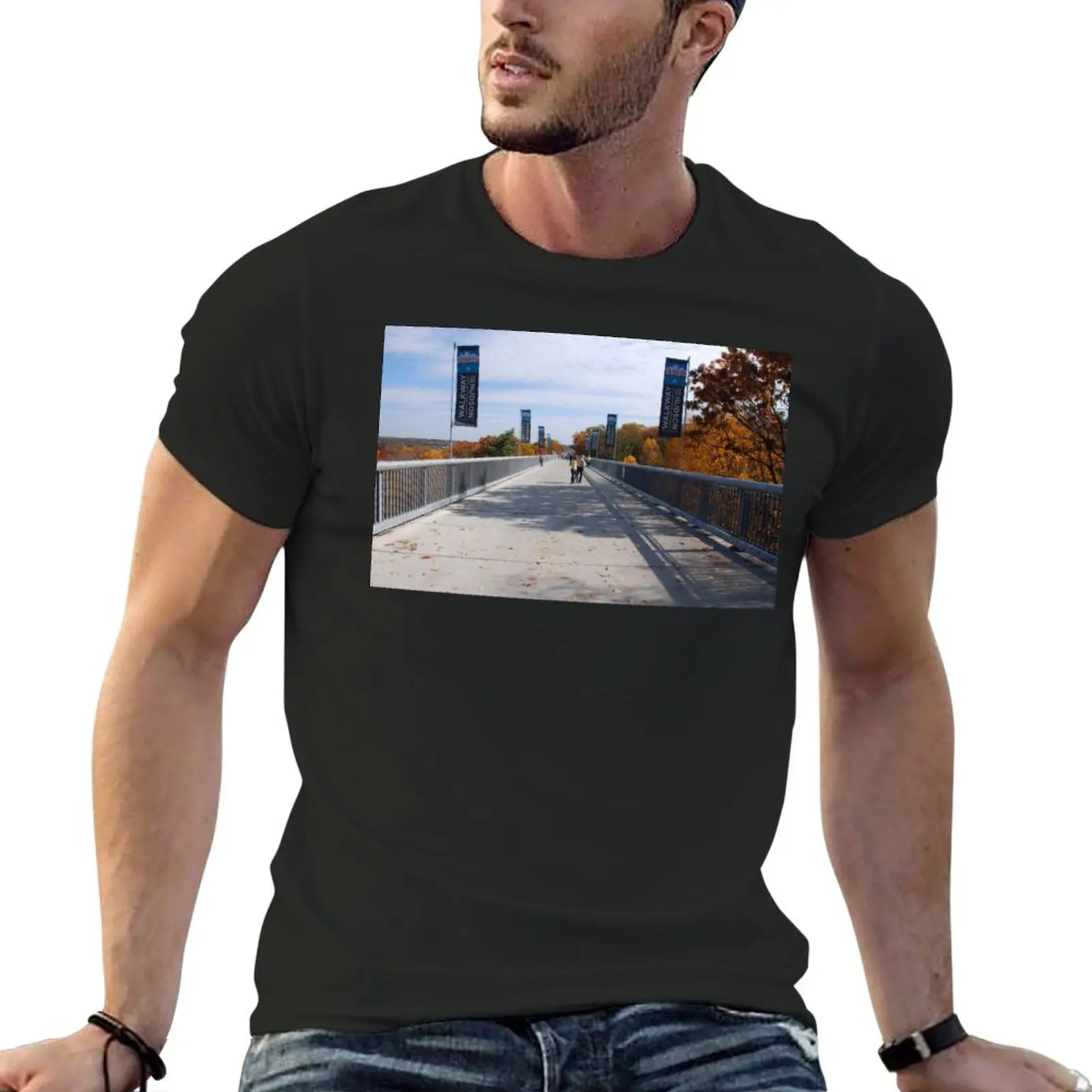 Мужская футболка большого размера Walkway Over the длинная с графическим рисунком
