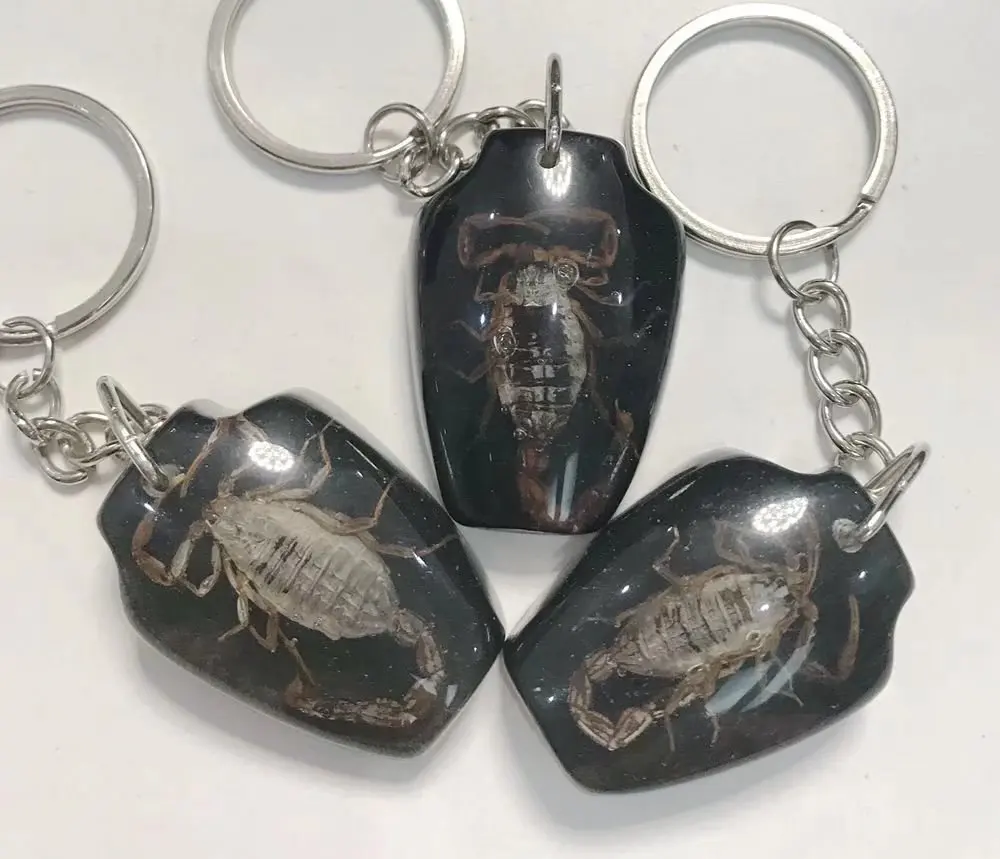 

15 pcs keychain real scorpion black vase design cool jewelry newest key ring