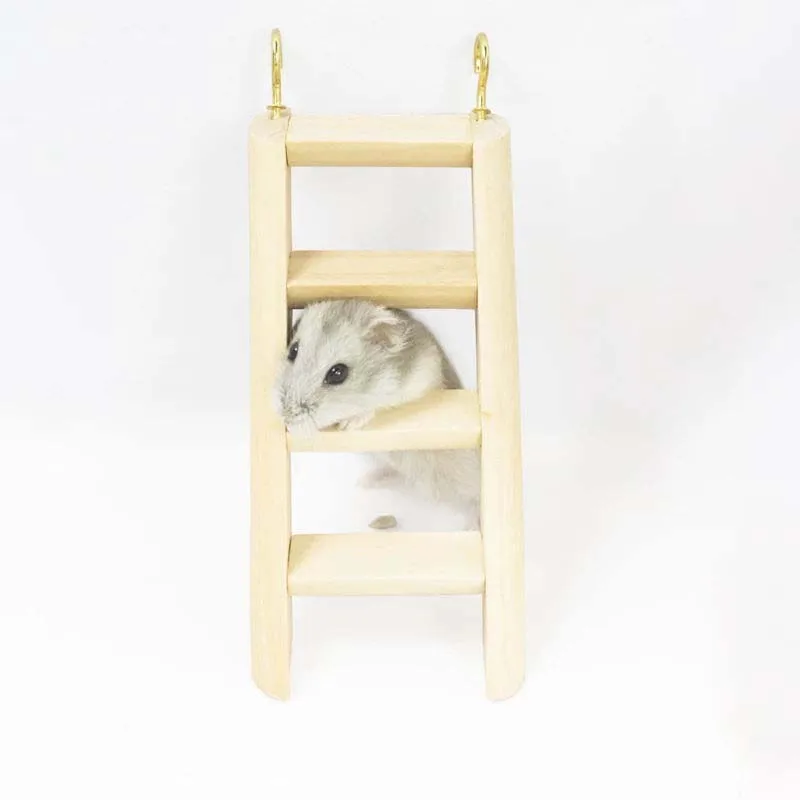 

Hamster Toy Training Sturdy Ladder Dutch Pig Parrot Molar Sport Toy Combination Set Wooden Pet Item Garden Cage Accessorie Toys