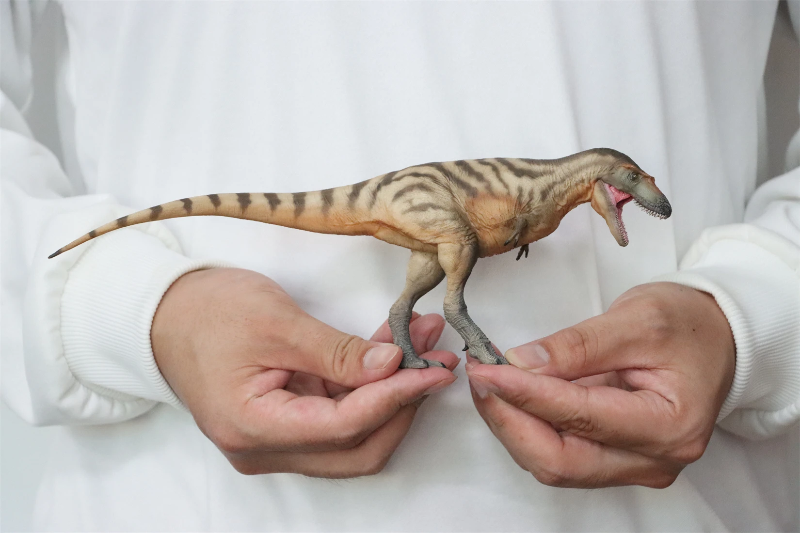 Фото PNSO 71 Gorgosaurus модель Тристана тираннозавр доисторические животные наука динозавр Коллекция Декор подарок Детская развивающая игрушка №2
