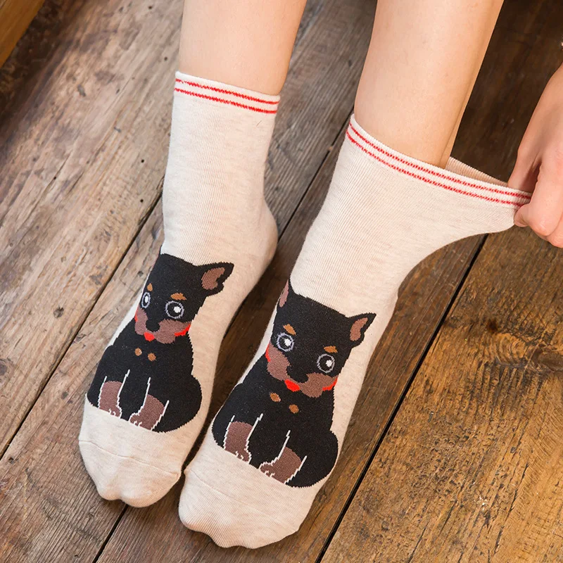 5 Pairs Fashion Colorful Kawaii Cute Cartoon Cotton Women Socks Harajuku Korean Cat Dog Owl Duck Fox Girl Socks images - 6