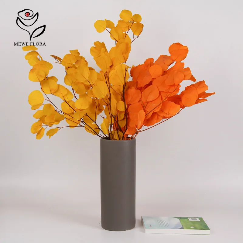 Листья эвкалипта 100 г сушеные цветы листья яблока букет из натуральных растений