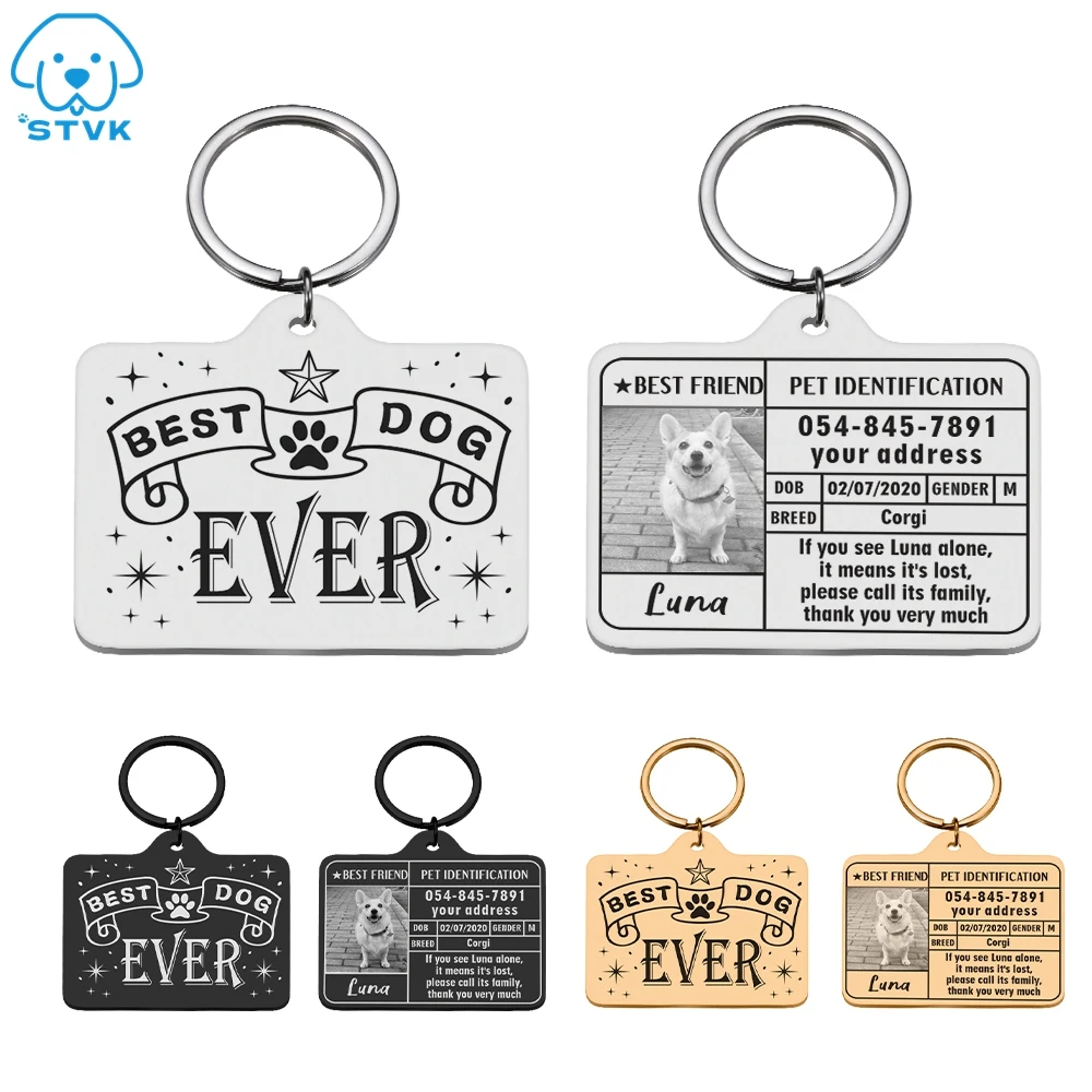 

Free Customized Pets Cat ID Tag Cat Name ID Tags Collars Personalised Engraved Cats ID Tags Collar for Pet Kitten Accessories