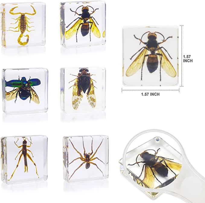 

6 шт., искусственные насекомые, Цикада, васп, паук, Скорпион, насекомое, каучуковая коллекция научных игрушек