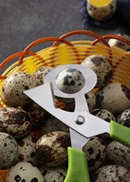 pigeon quail egg scissor bird cutter opener clipper shell stainless steel blade cigar cut eggshell kitchen tool
