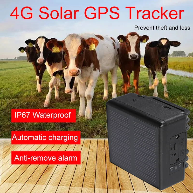GPS-трекер для маленьких домашних животных 4000 мАч водонепроницаемый - купить по