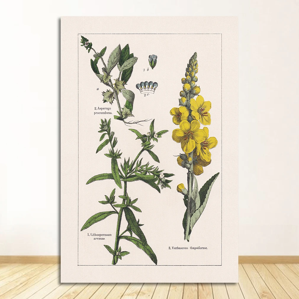 

Настенная картина DHRM, ботаника, печать на холсте