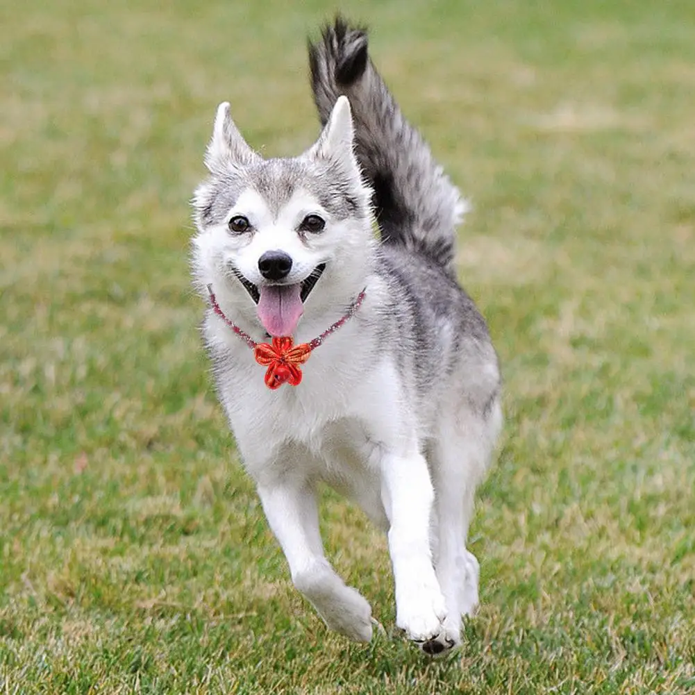 

Luxury Rhinestones Cat Collar Pet Flower Bell Decor Necklace Adjustable Length Cats Puppy Necklace Pet Accessories