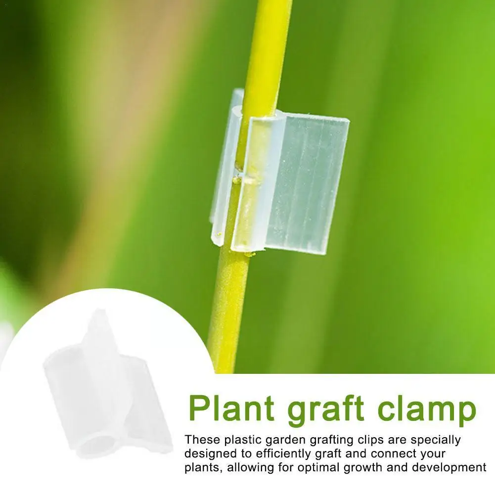 

100 шт., зажим для выращивания растений в саду