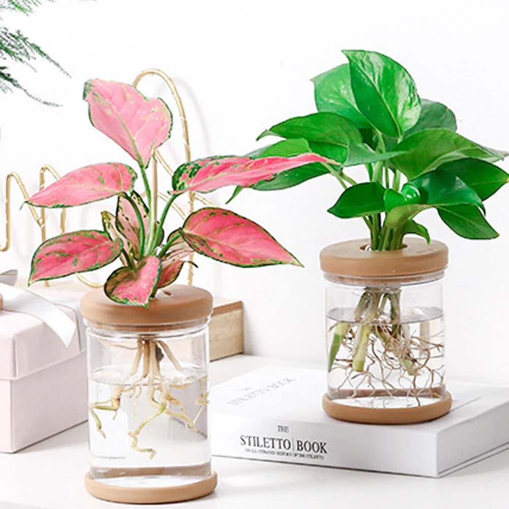 

Mini Hydroponic Flower Pot Home Vase Decor Transparent Imitation Glass Soilless Plant Pots garden pots planters Home Decoration