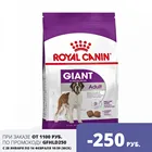 Royal Canin Giant Adult корм для взрослых собак гигантских пород, 4 кг