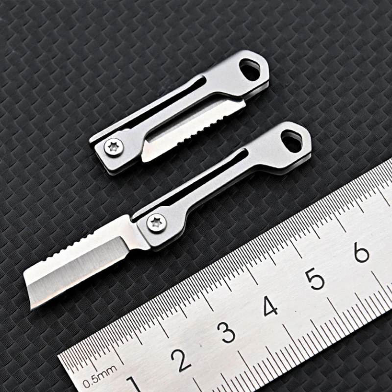 

Mini Stainless Steel Folding Knife Fruit Cutting Picnic Knife Peeling Folding Knife Keychain Camp Knife Vegetable Kitchen Slicer