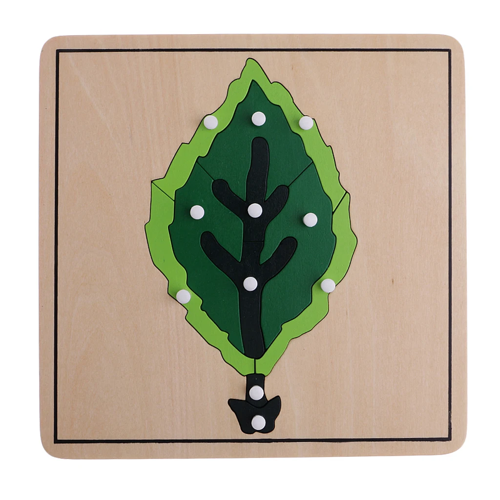 Montessori Botany Material - 3 Plant Shape Puzzles for Kids Educational Toys
