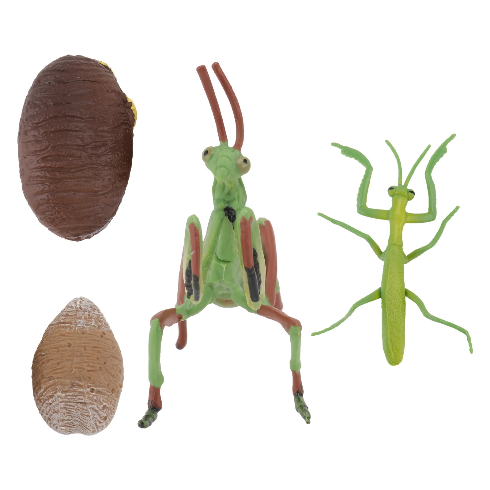 

1 Set Grasshopper Figurine Crafts Kindergarten Mantis Model (Assorted Color)