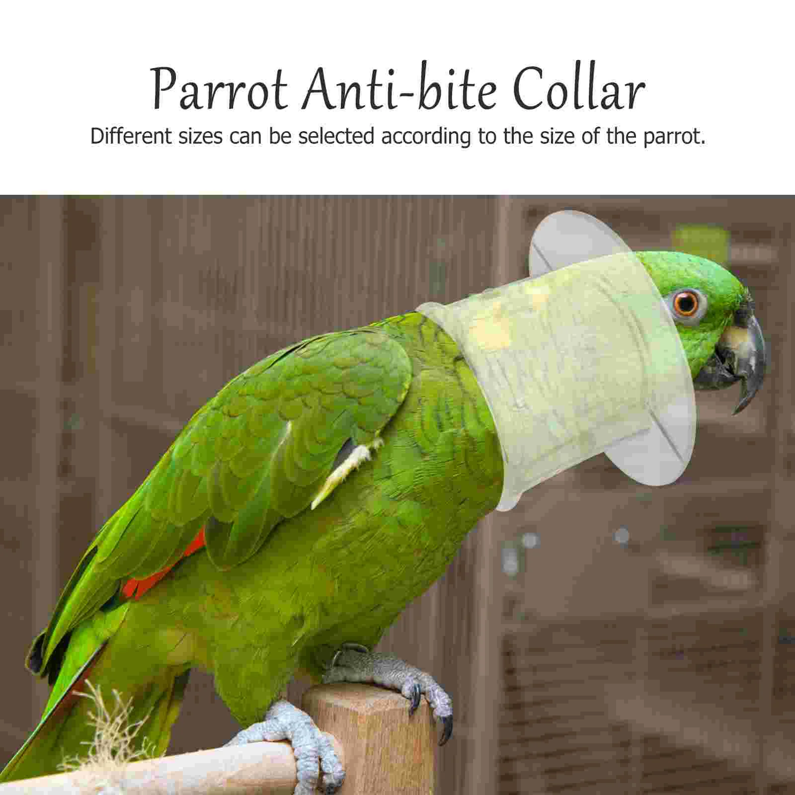 

Bird Supplies Pet Parrot Anti Bite Collar Anti Grab Lick Wound Healing Safety Practical Neck Cover Recovery Collars