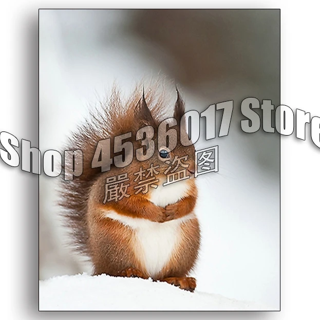 

Embroidery 5D DIY Diamond Painting Cute Squirrel Full,Needlework,Animals,Cross Stitch,Crafts,Fashion,Room Decoration,Art