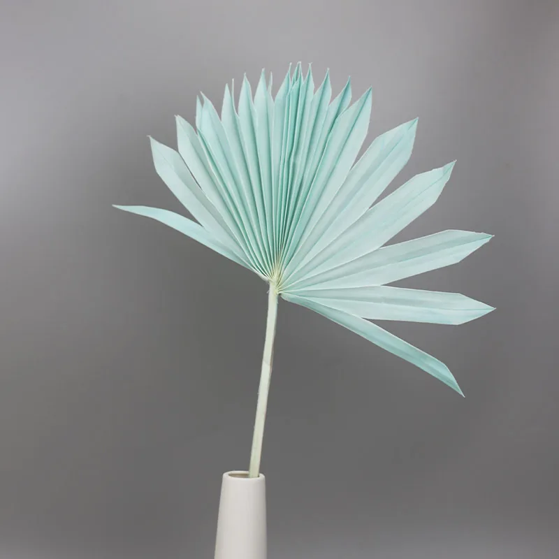 Натуральные сушеные цветы веер кошачий хвост растения Подсолнух Пальмовые