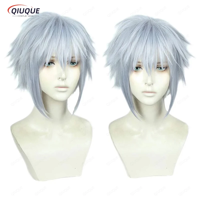 Wig Heat Resistant Synthetic Hair Cosplay Costume Wigs + Free Wig Cap