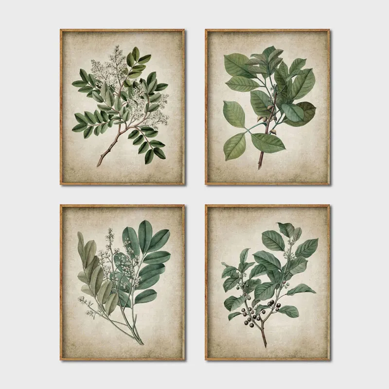 

Green Plant Wall Art Prints Retro Poster Vintage Leaves Canvas Painting Print Botanical Art Decor Wall Picture Home Decoration