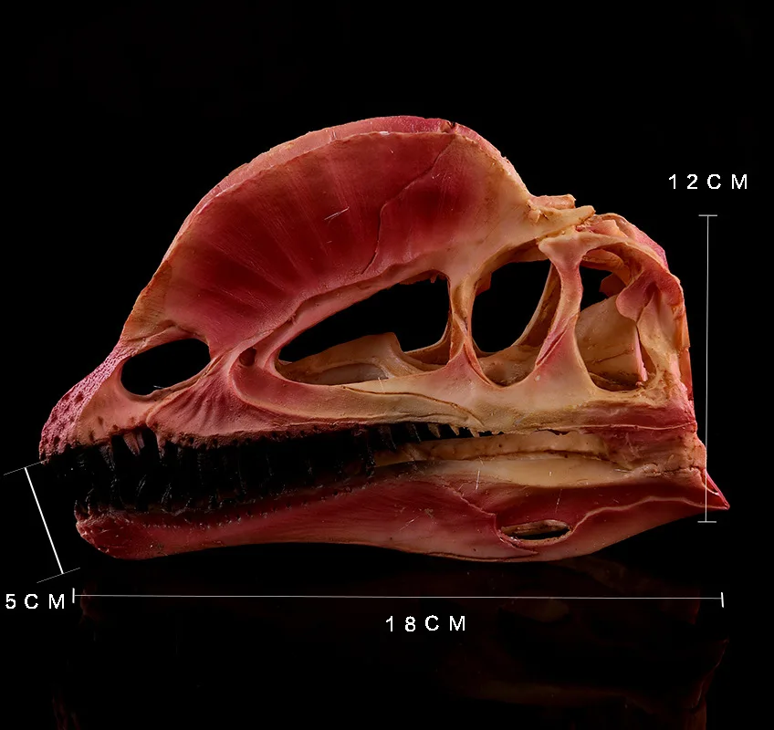 

Модель динозавра Дилофозавр моquerry