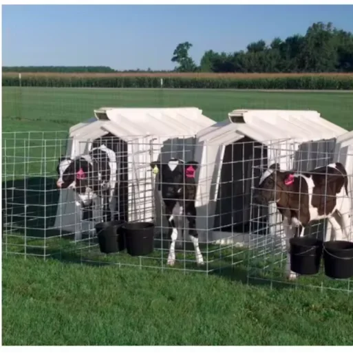 Прочный открытый пластиковый шкаф для теленка с клетками животных сарай