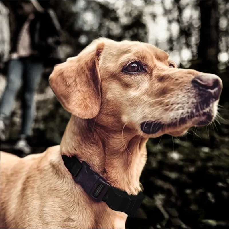 

Ошейник для домашних питомцев с автоматическим лаем, перезаряжаемый ошейник для дрессировки собак, устройство для защиты от лая, для щенков с ударовым режимом