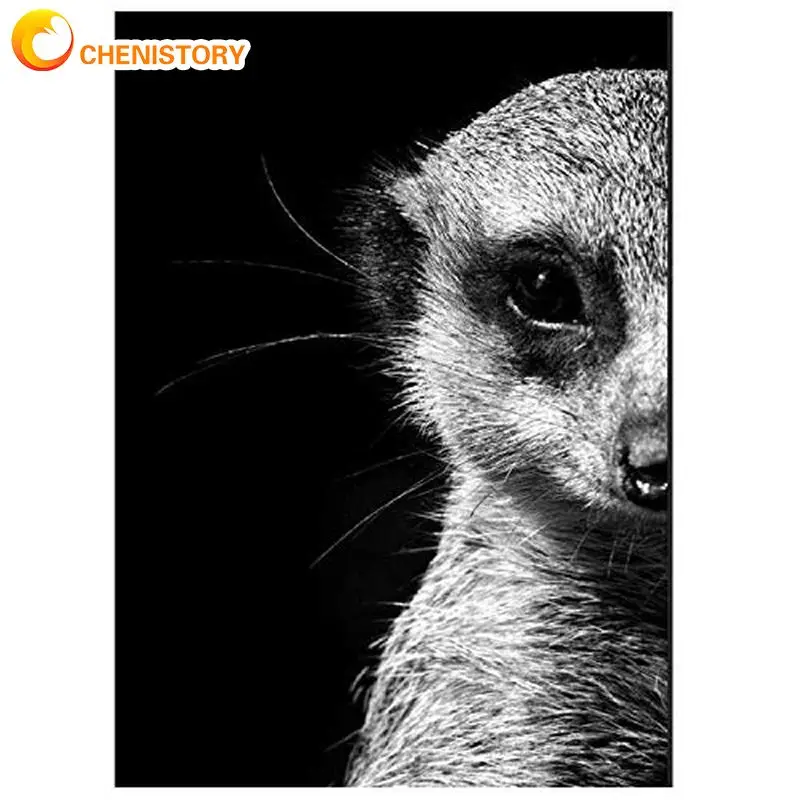 

CHENISTORY Full Diamond Embroidery Mongoose Diamond 5d Painting Kits Picture Of Rhinestones Mosaic Animal Diy Craft Home Decorat