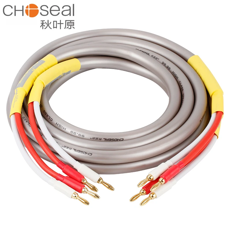 

CHOSEAL HIFI Speaker Audio Cable Wire with Banana Plug Audio Line 2.5M
