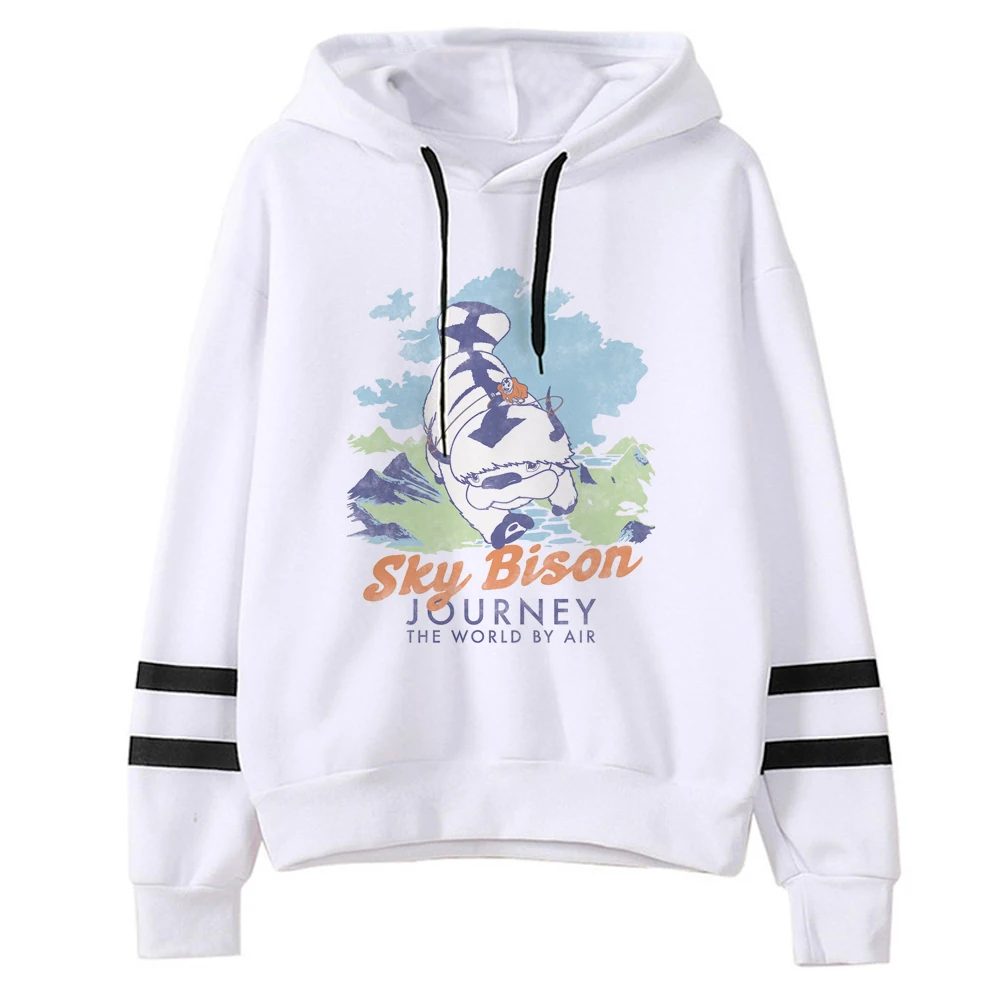 Аватар Последний Воздушный Бандер