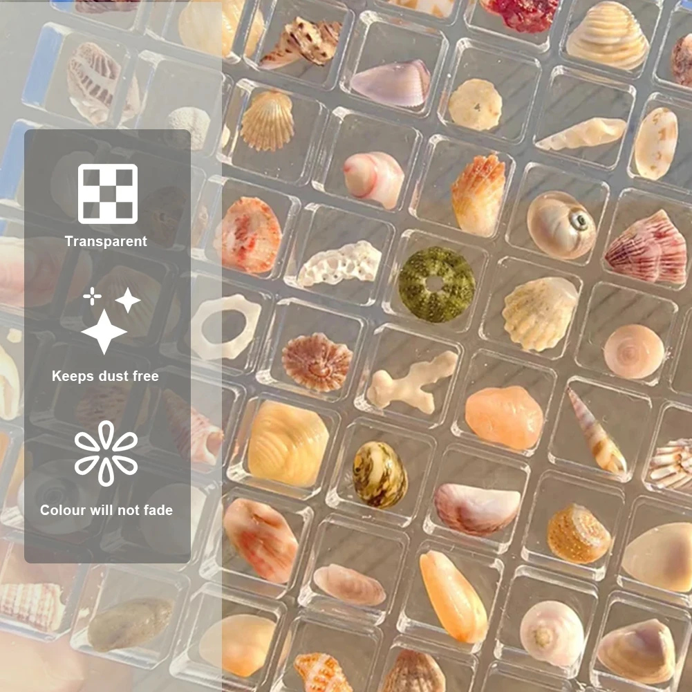 Акриловая магнитная коробка для хранения ракушек декоративная 36/64 сетки витрина