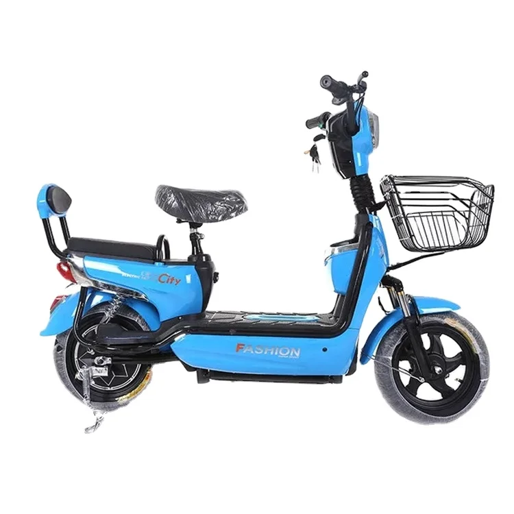 

350w Large Battery Capacity Electric Motorcycle
