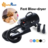 2800w power hair dryer for dogs pet dog cat grooming blower warm wind secador fast blow dryer for small medium large dog dryer