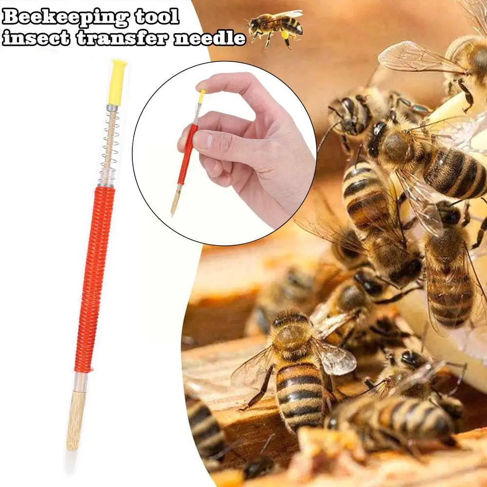 

1pc Bee Farm Transfer Needle Beekeeping Tools Red Collect Equipment Honey Beekeeper Breeding Horn Bees Feeders Tool Royal J P3H9