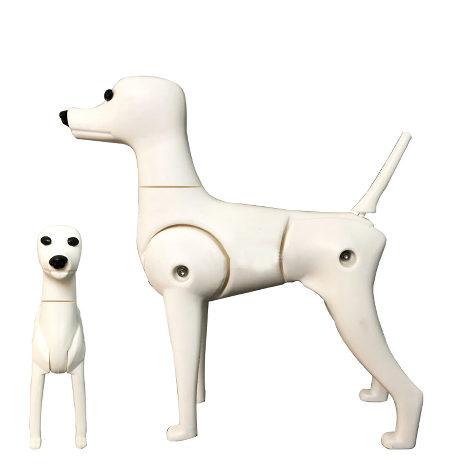 Профессиональная модель для ухода за домашними животными собаки тренировки